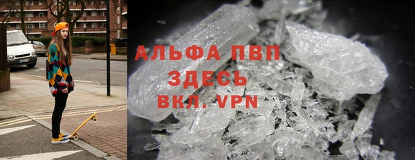 a pvp Бородино
