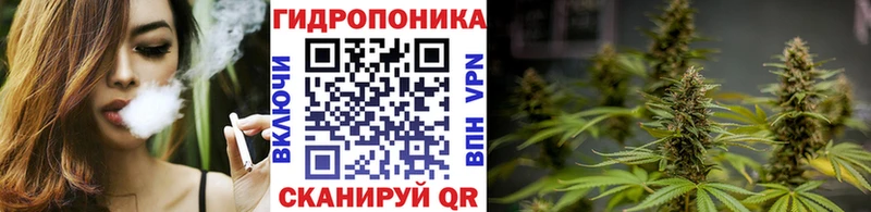 продажа наркотиков  Талица  МАРИХУАНА гибрид 